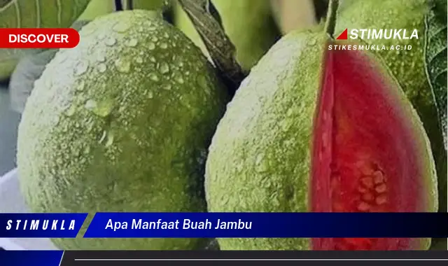 apa manfaat buah jambu