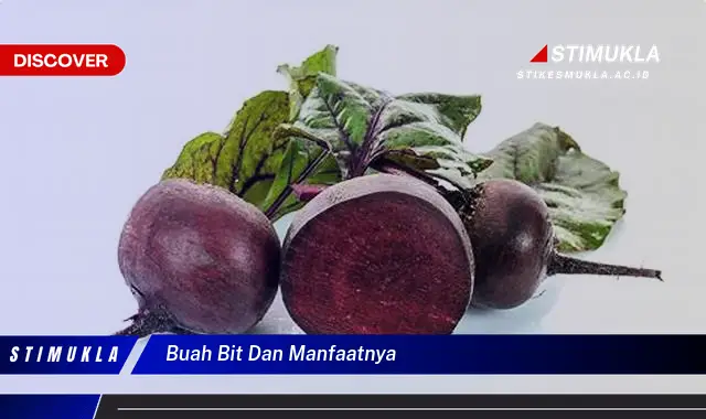 buah bit dan manfaatnya