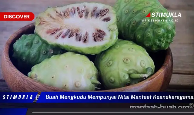 buah mengkudu mempunyai nilai manfaat keanekaragaman hayati berupa sumber