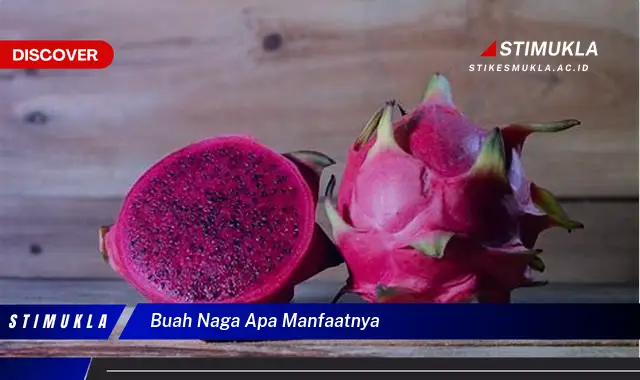 buah naga apa manfaatnya