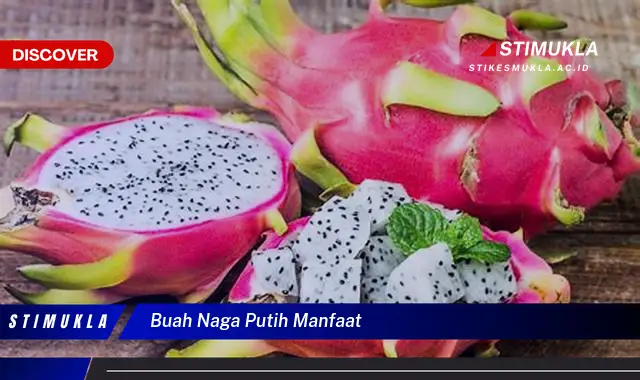 Temukan 8 Manfaat Buah Naga Putih yang Jarang Diketahui