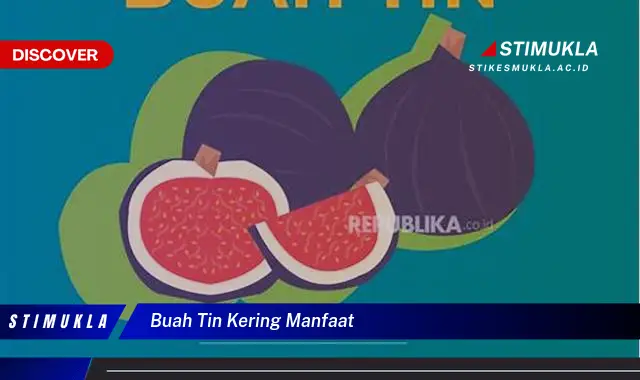 buah tin kering manfaat