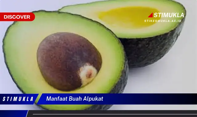 manfaat buah alpukat