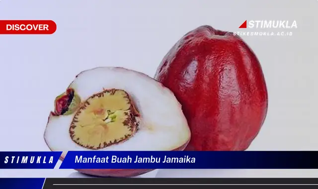 manfaat buah jambu jamaika