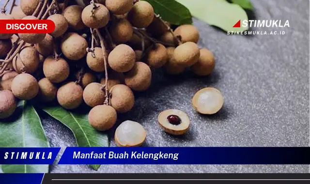 manfaat buah kelengkeng