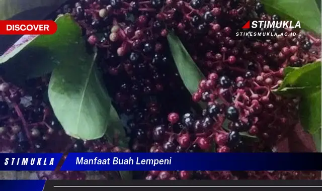 manfaat buah lempeni