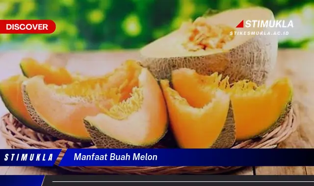 manfaat buah melon