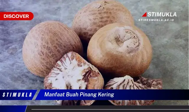 manfaat buah pinang kering