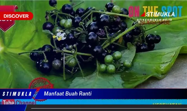 manfaat buah ranti