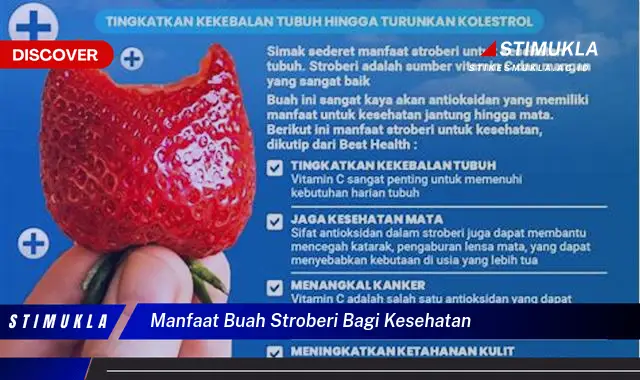 manfaat buah stroberi bagi kesehatan