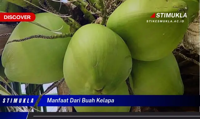 manfaat dari buah kelapa