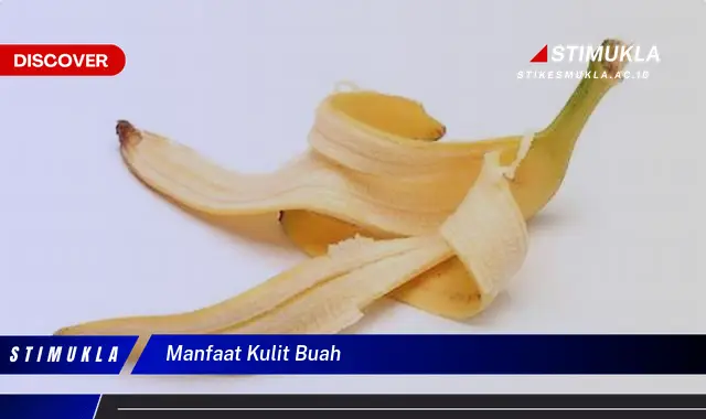 manfaat kulit buah