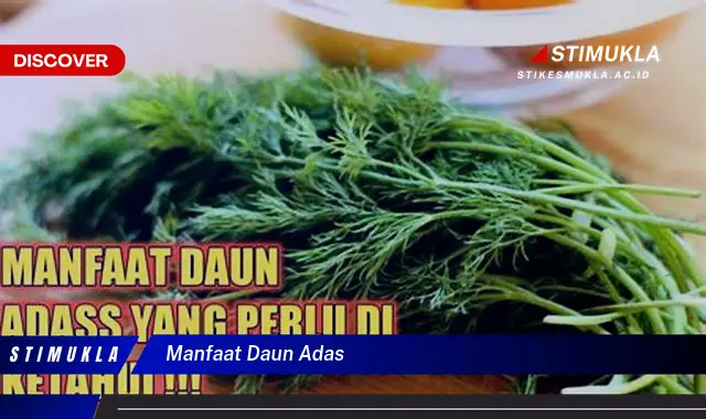 manfaat daun adas