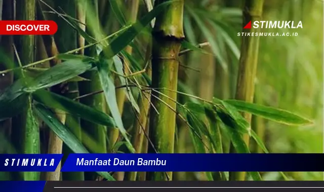 manfaat daun bambu