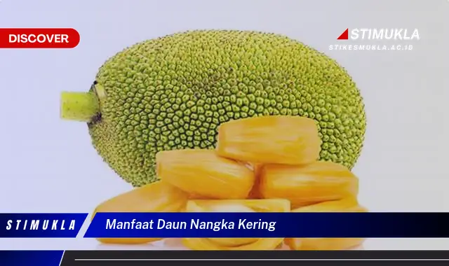 manfaat daun nangka kering