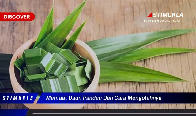 manfaat daun pandan dan cara mengolahnya