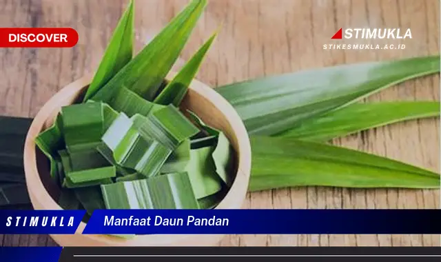 Temukan 6 Manfaat Daun Pandan yang Bikin Kamu Penasaran