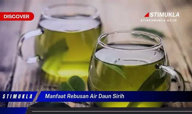 manfaat rebusan air daun sirih