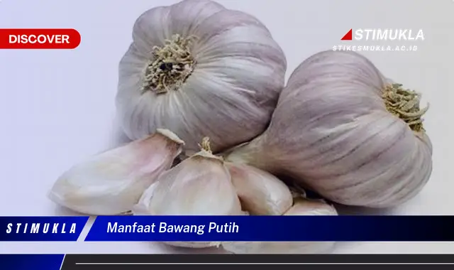 manfaat bawang putih